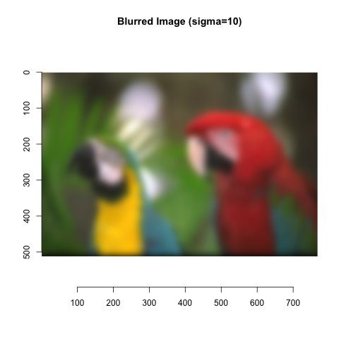 Blurred Parrots Image