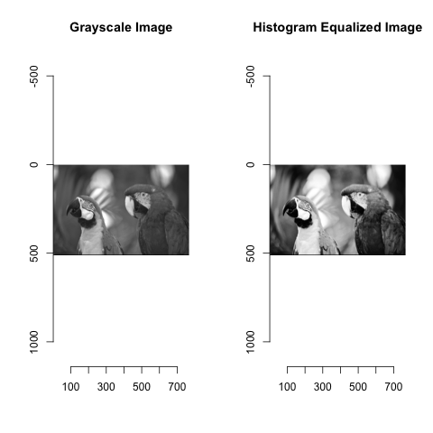Grayscale vs
Equalized
